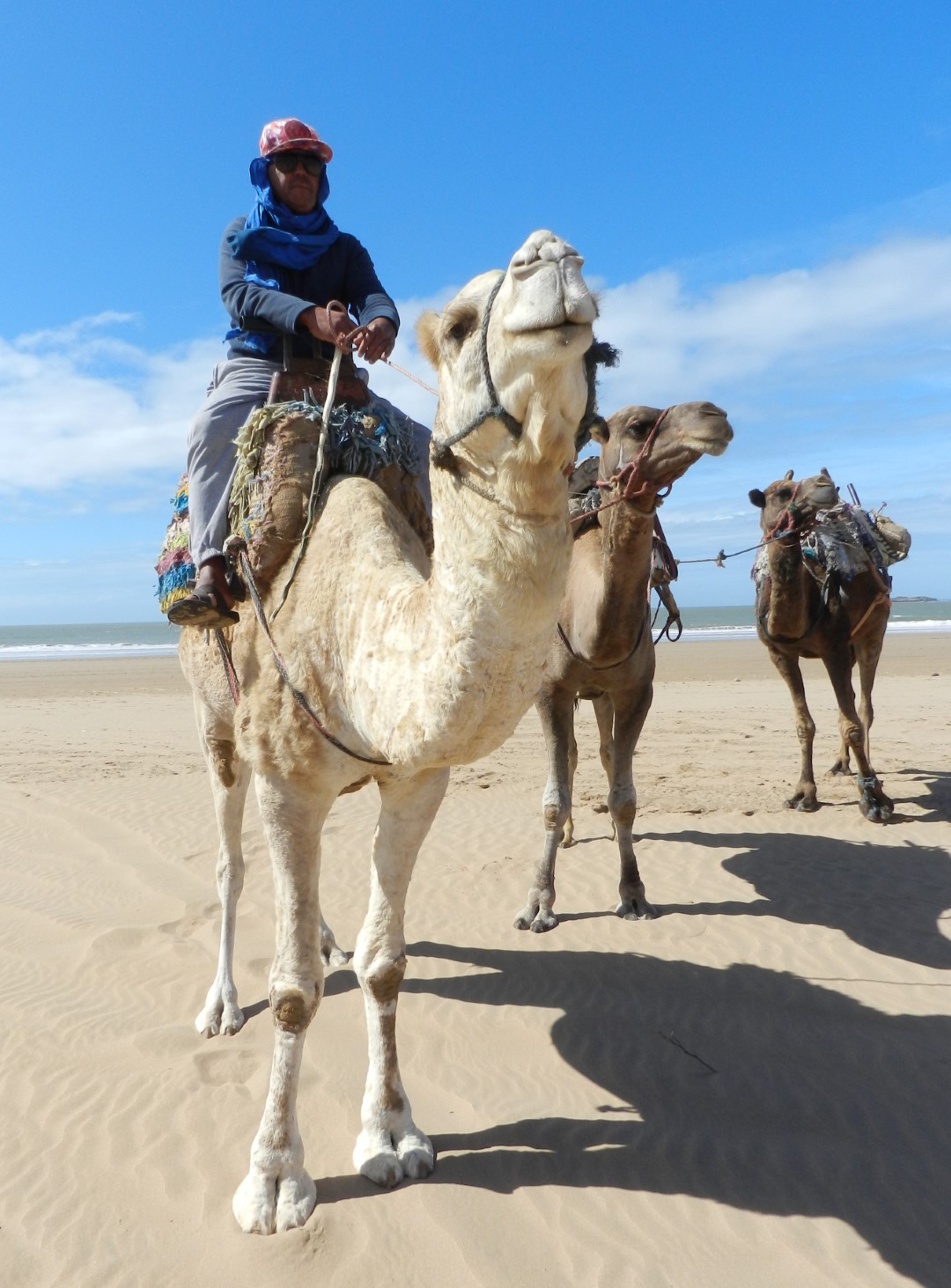 stage de jeûne Essaouira plage