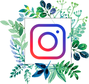 instagram naturopathie